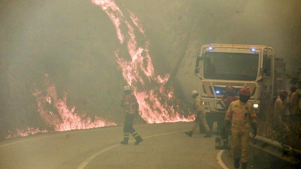 Wildfire in Europe: Temperature hits record high