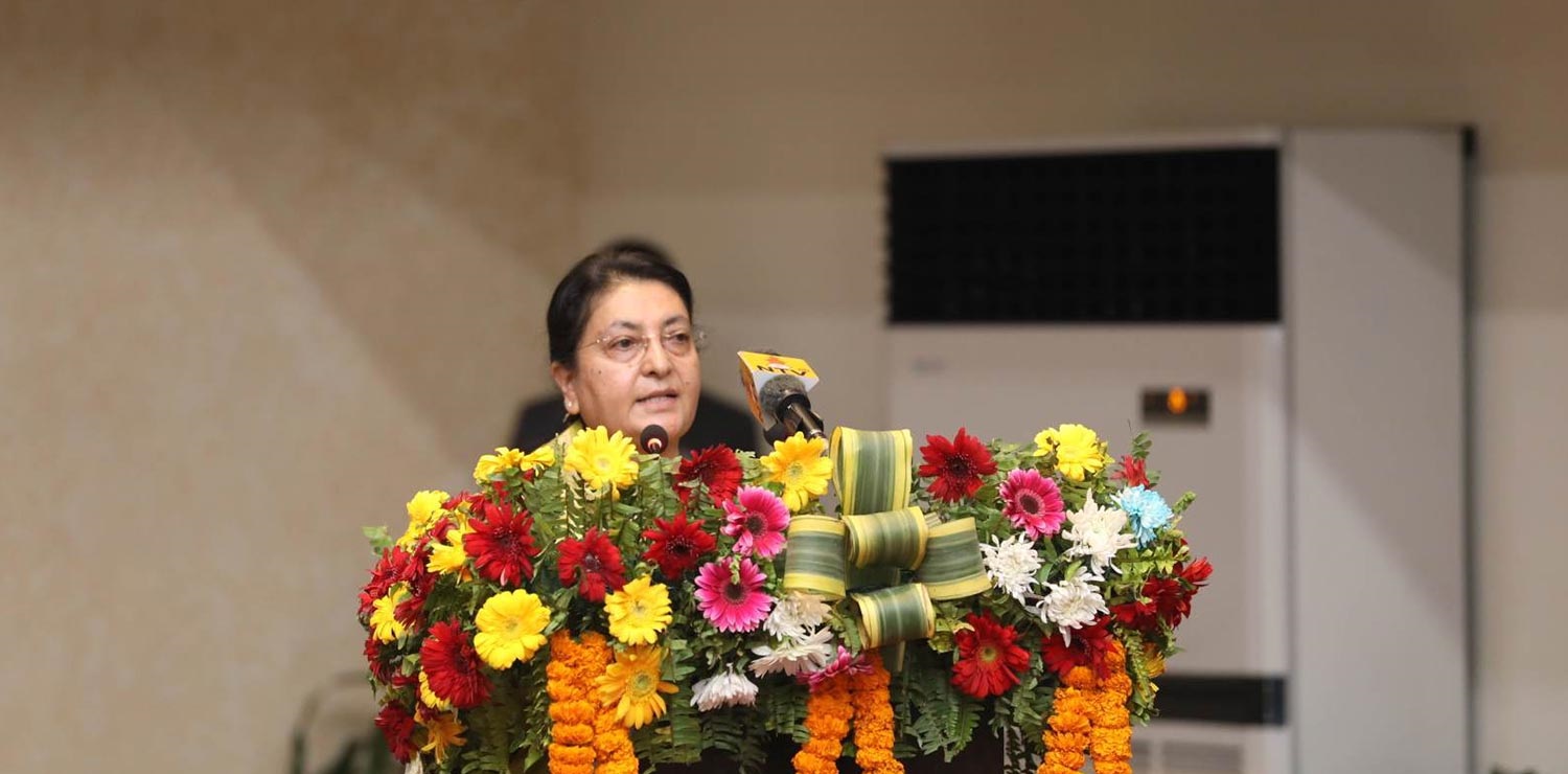 Those who pushed the country to violence are in power: Former President Bhandari