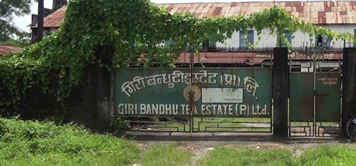 SC orders to stop the land selling of Giribandhu Tea Estate