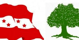 Nepali Congress flage and tree