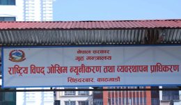bipad byawasthapan disaster